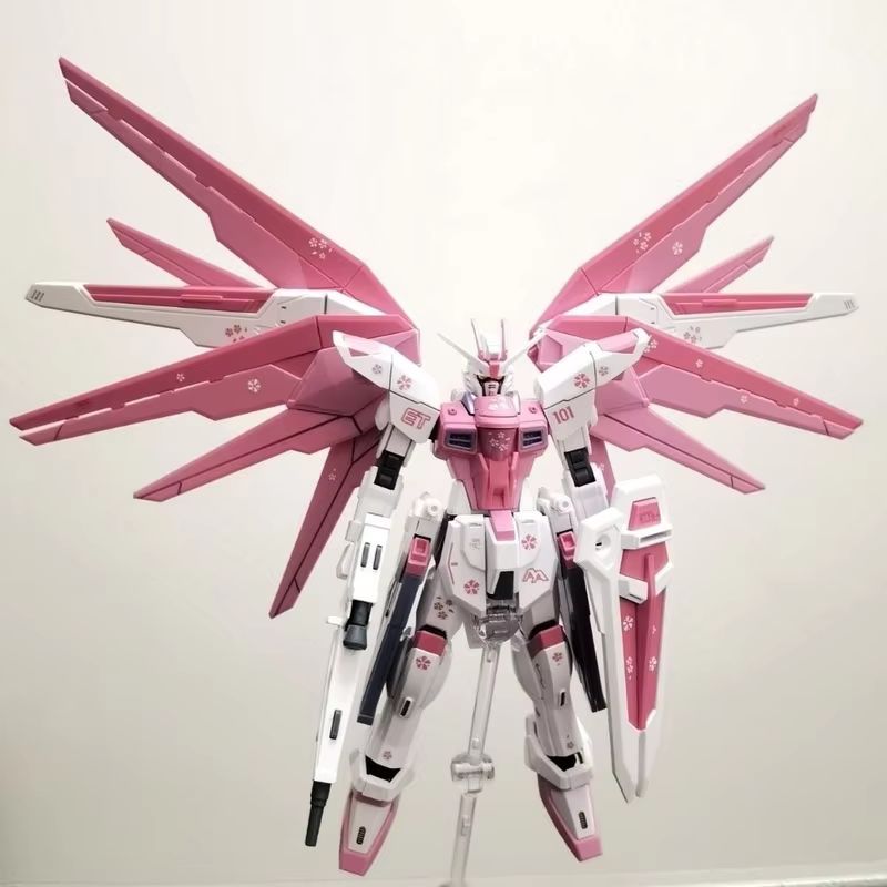 JMS HG 1/144 ZY-06 Özgürlük Sa - Bandai Gundam Hg incelemesi ve fiyatı
